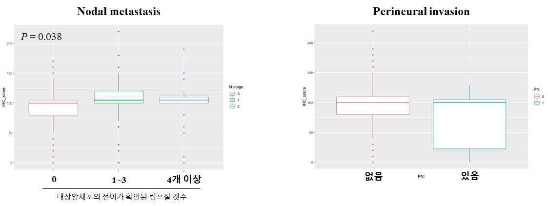 IHC 결과 기반 IMMT 발현과 Nodal metasatasis 및 Perineural invasion의 상관관계 분석