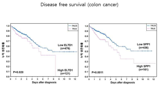 ELTD1과 SPP1(Osteopontin)에 따른 대장암 환자의 생존 분석
