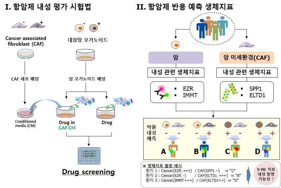 ‘오가노이드 기술을 이용한 항암제 내성 평가기술 마련 연구’ 결과 요약