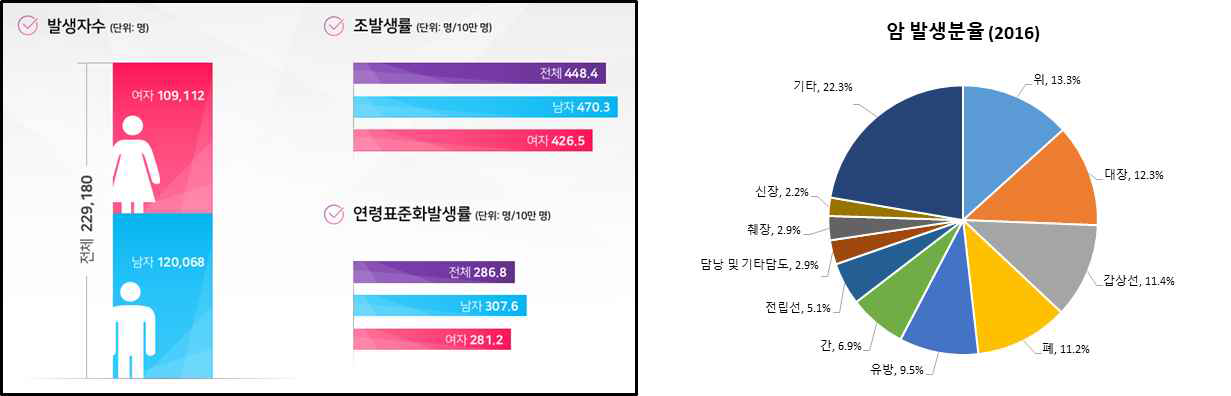 주요 암종 발생분율(남녀 전체, 2016) 출처: 중앙암등록본부