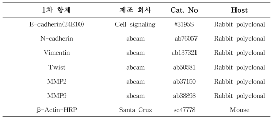 Western blot에 사용한 항체 정보
