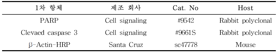 Western blot에 사용한 항체 정보