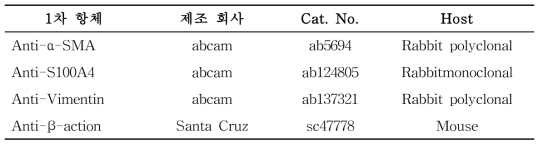 사용한 단백질 항체 정보