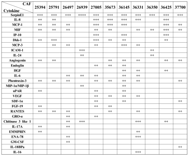 CAF CM에서 과발현 되고 있는 사이토카인 정리