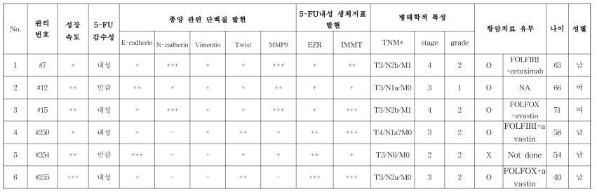 암 오가노이드 기반 항암제 반응성 평가 실험 플랫폼 – 환자 유래 대장암 오가노이드 정보