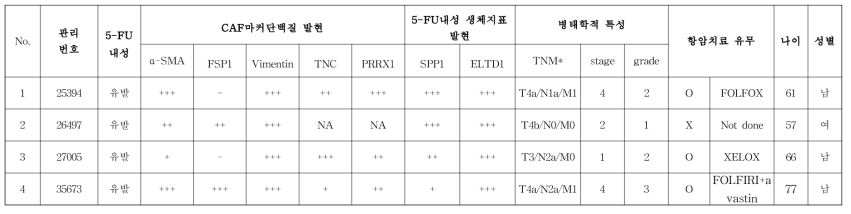 암 오가노이드 기반 항암제 반응성 평가 실험 플랫폼 – CAF 정보