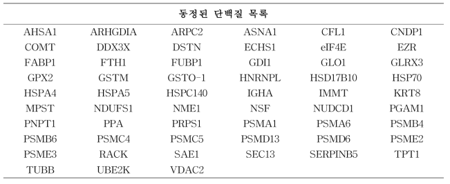 2차원 전기영동 이미지를 통해 유의한 발현 차이를 보이는 단백질 spot의 동정 결과