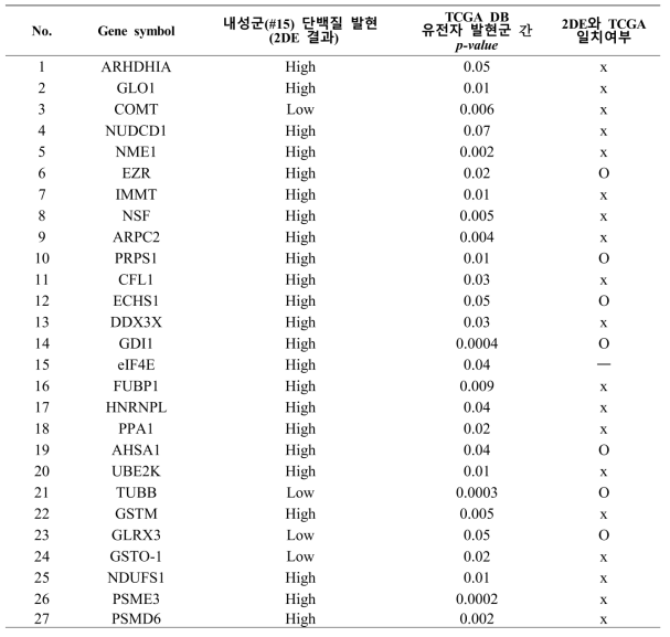 단백질체 분석으로 선별된 유전자의 TCGA 생존 분석 결과