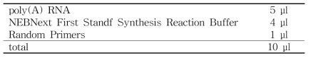 cDNA 합성 mixture 1