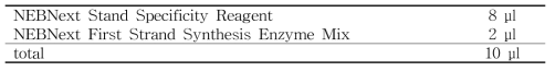cDNA 합성 mixture 2