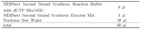 cDNA 합성 mixture 3