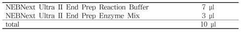 cDNA 합성 mixture 4