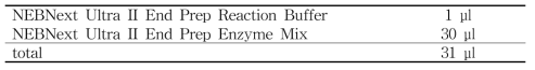 cDNA 합성 mixture 5