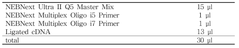 cDNA 합성 mixture 6