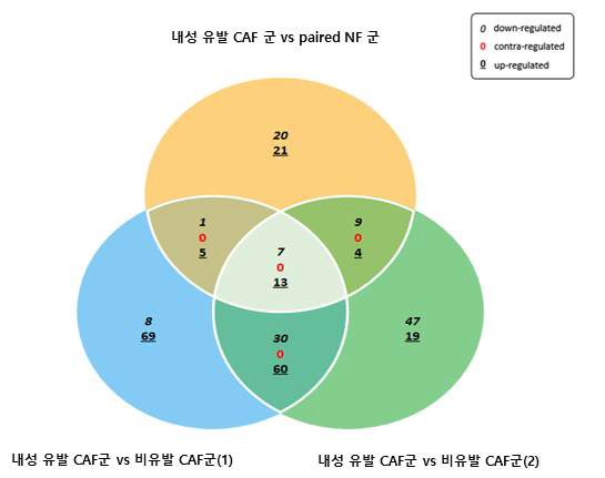 3가지 비교 그룹에 대한 유전자 발현 증감(Venn diagram)