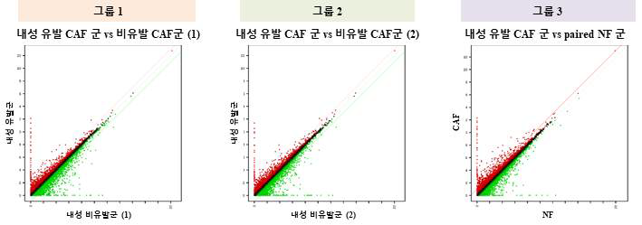 3가지 비교 그룹의 DEG 분석을 통해 나타난 scatter plot