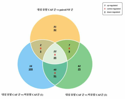 3가지 비교 그룹에 대한 유전자 발현 증감 (Venn diagram)