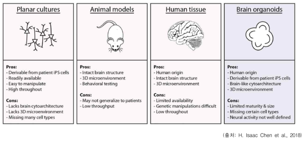 평면배양, 동물모델, 인간 뇌조직, 뇌 오가노이드 모델의 장단점