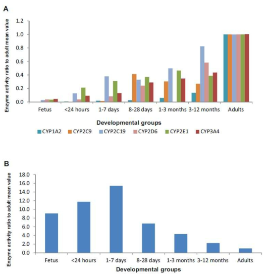 간의 주요 CYP450 효소(A)와 CYP3A7(B)의 발달 양상