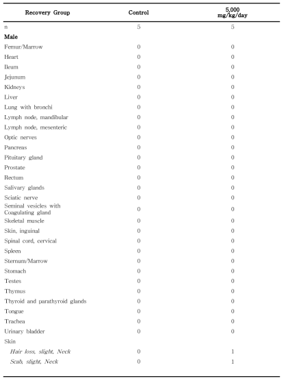 Summary incidence of necropsy findings for rats in the 13-week gavage study (Recovery group) of 세신 열수추출물 (continued)