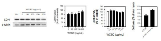 DWCSC가 BEAS-2B 세포의 LDH의 발현 또는 LDH 활성에 미치는 영향