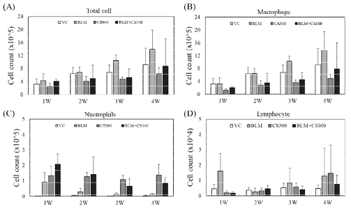 폐섬유화 모델에서 담배연기 노출 기간별 BALF 내 사이토카인의 변화. (A) Total cell, (B) Macrophage, (C) Nuetrophil, (D) Lymphocyte