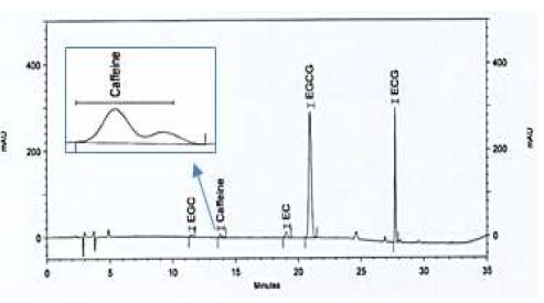 카테킨 현행시험법의 시험용액 크로마토그램