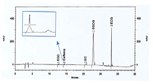 카테킨 개선시험법의 시험용액 크로마토그램