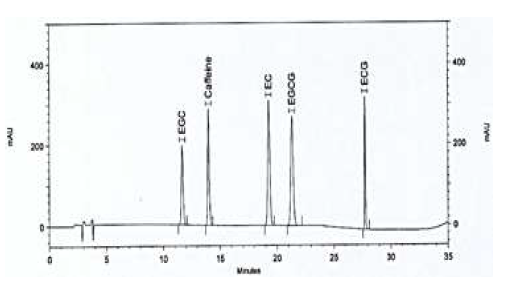 카테킨 현행시험법의 표준용액 크로마토그램
