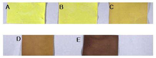 건강기능식품공전 시험법을 통한 시안화합물 분석 결과. A: 공시료(노랑), B: 0.5 ㎍/g(노랑), C: 5 ㎍/g(연한 갈색), D: 50 ㎍/g(갈색), E: 500 ㎍/g(진한 갈색)