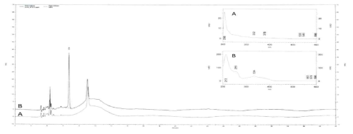 액체크로마토그래피/자외부흡광광도검출기 통한 크로마토그램(A: 증류수, B: 표준용액)