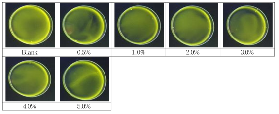 0.01% Curcumin reaction for soybean oil concentration(UV-lamp observation before water cleaning)