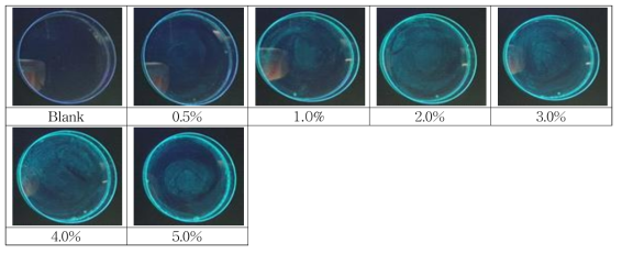 0.1% Curcumin reaction for soybean oil concentration(UV-lamp observation after water cleaning)