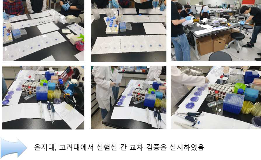 Interlaboratory cross-validation