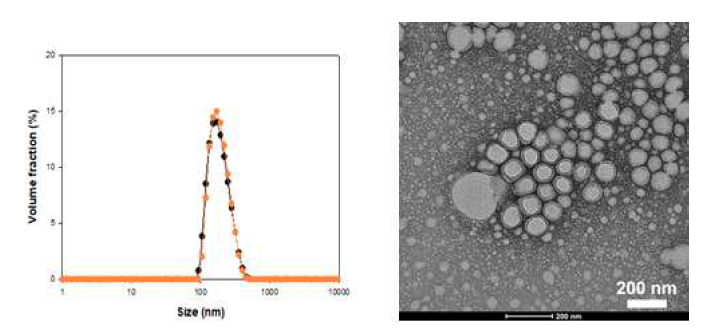 Polysorbate 80 기반 nanoemulsion형 나노소재의 입자 분포(좌)와 TEM 이미지(우)