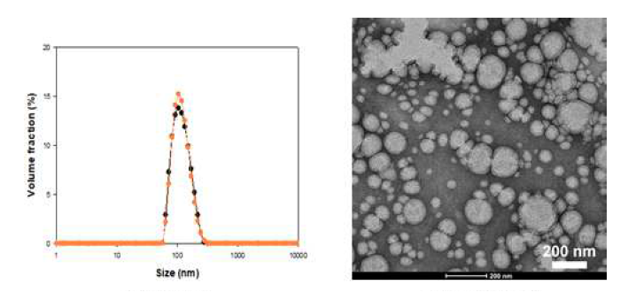 Decaglycerin monooleate 기반 nanoemulsion형 나노소재의 입자 분포(좌)와 TEM 이미지(우)