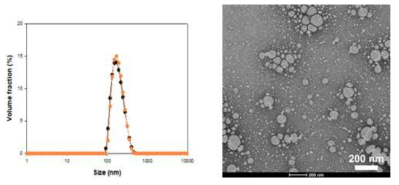 Lecithin 기반 nanoemulsion형 나노소재의 입자 분포(좌)와 TEM 이미지(우)