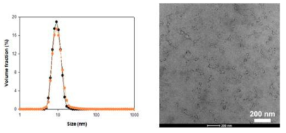 Polysorbate 80 기반 micelle형 나노소재의 입자 분포(좌)와 TEM 이미지(우)