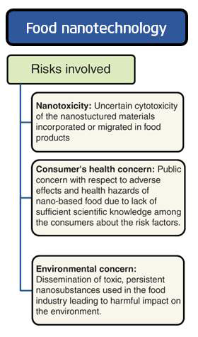 나노기술응용식품에 존재하는 위험 요소