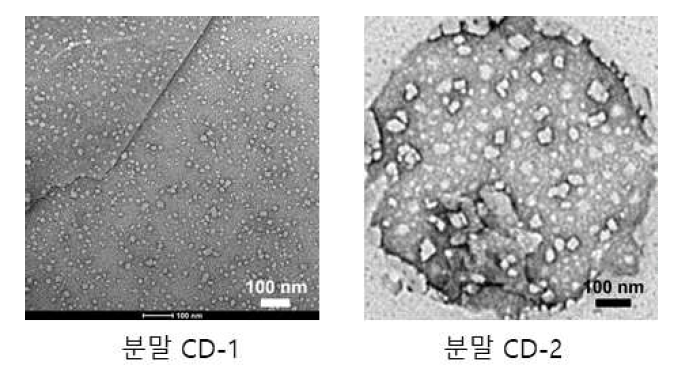 ‘분말 CD-1’의 TEM 이미지(좌) 및 ‘분말 CD-2’의 TEM 이미지(우)