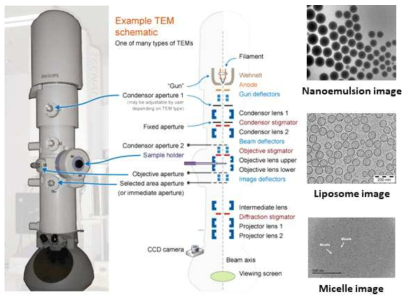 투과전자현미경(TEM)의 구조 및 이미지 예시
