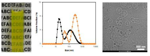Sucrose monopalmitate 이용 micelle형 유기모사나노소재의 소재 사진(좌), 입자 분포(중)와 TEM 이미지(우)
