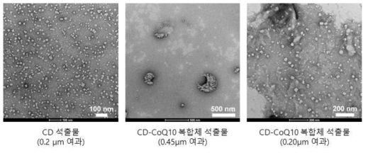 β-CD 이용 CD 복합체형 유기모사나노소재 TEM 이미지