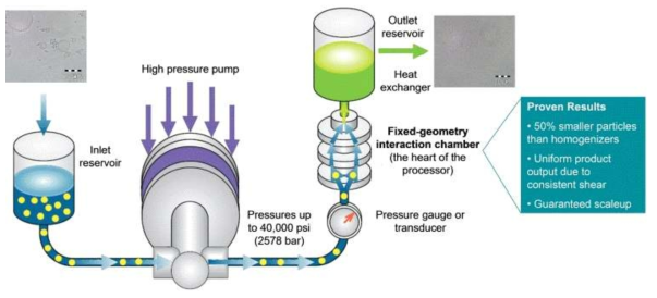 Microfluidic 기술을 이용한 nanoemulsion, liposome 및 micelle과 같은 나노캡슐소재 생산