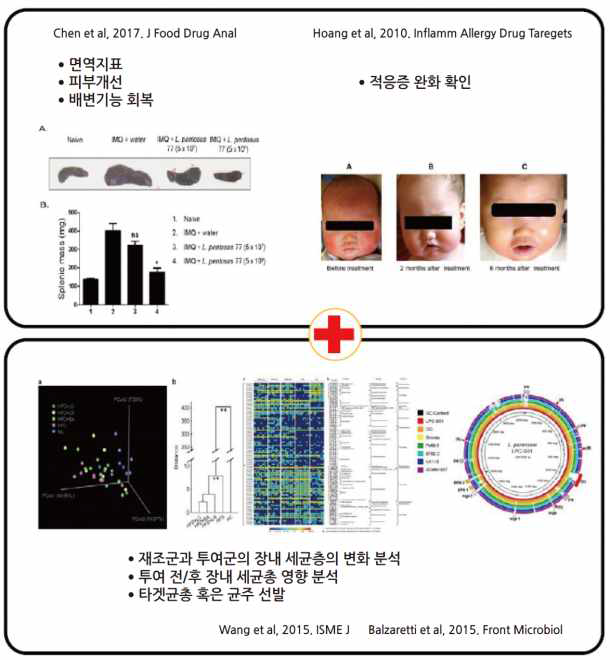 프로바이오틱스의 면역 및 피부개선 기능성 검증 및 마이크로바이옴 분석