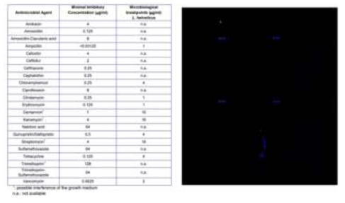 GRAS 인정을 받기 위한 L. helveticus R0052 균주에 대한 22종 항생제 내성 테스트 결과 및 항생제 내성 유전자 발현 확인을 위한 microarray 실험 결과