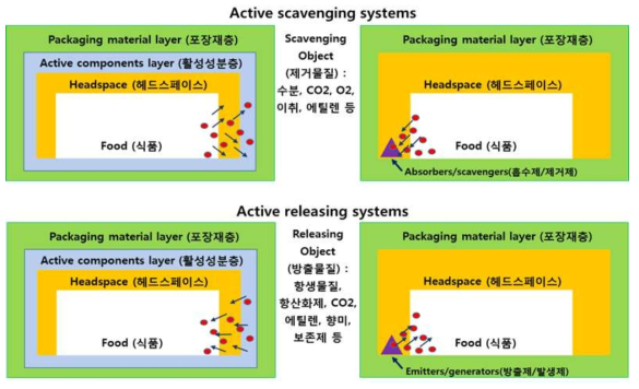 활성포장의 2가지 유형