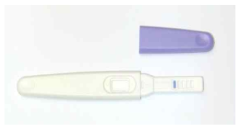 임신진단테스트기(예시)