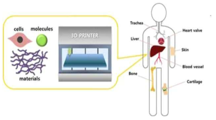 프린팅 기반 3차원 인공장기 제작 원리