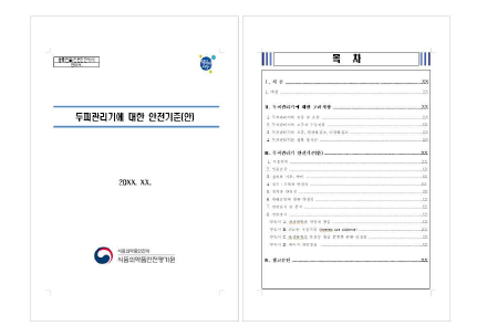 두피관리기 안전기준(안)